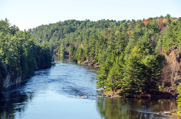 French river — Stock Photo, Image