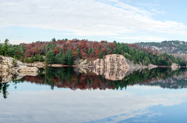 Forest lake — Stock Photo, Image