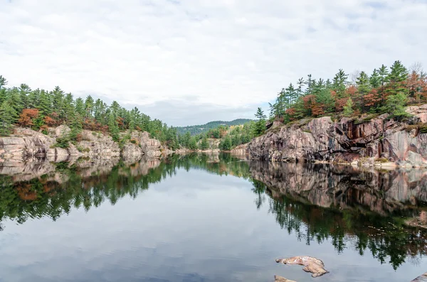 Lago da floresta — Fotografia de Stock