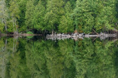 Lake yakınındaki kum plaj.