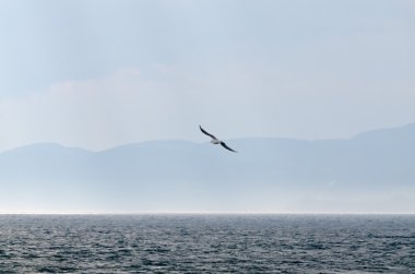 Kanada'da sonbahar günü