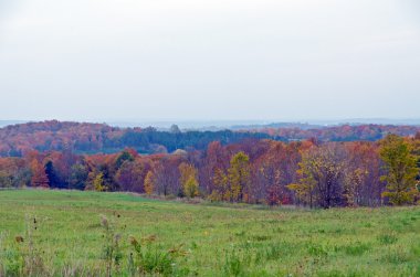 Sonbahar'ın renkli ağaçlar