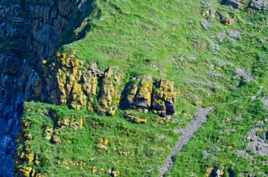 Newfoundland kıyıları