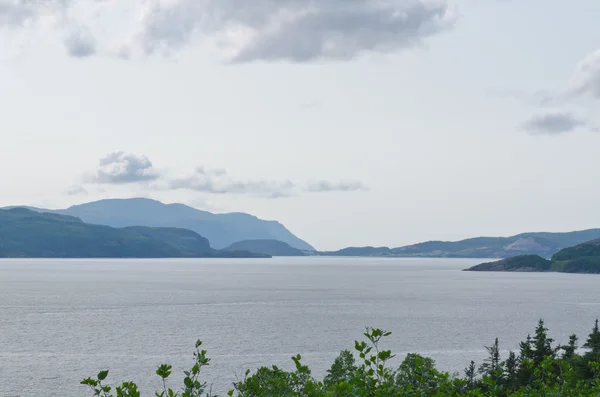 Gambar pantai Newfoundland — Stok Foto