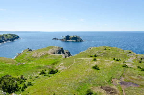 Newfoundland kıyıları — Stok fotoğraf