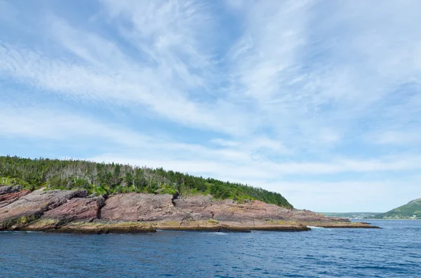 Stranden av newfoundland — Stockfoto