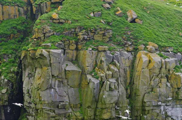 Picture of the Cliffs — Stock Photo, Image