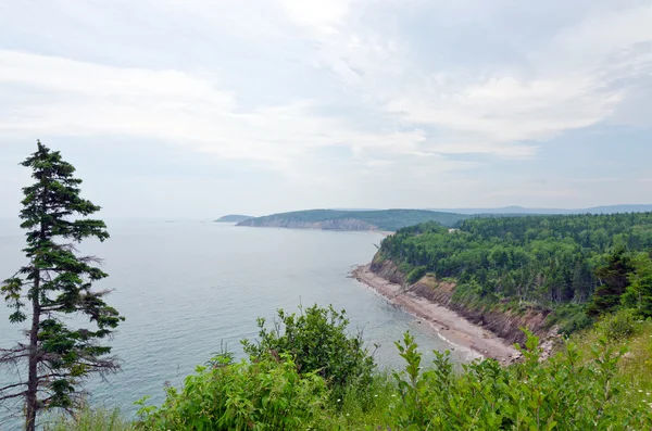 Gambar dari garis pantai — Stok Foto