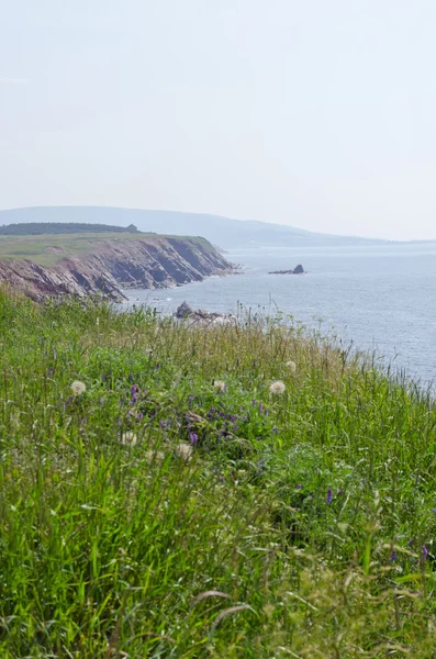 Picture of the Coastline — Stock Photo, Image