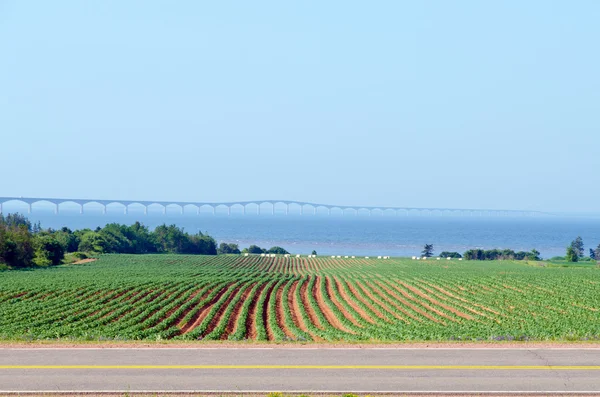 El puente de la Confederación — Foto de Stock