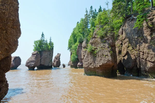 450+ Hopewell Rocks Beach Stock Photos, Pictures & Royalty-Free