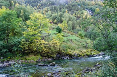 Dağ nehir. Norveç.