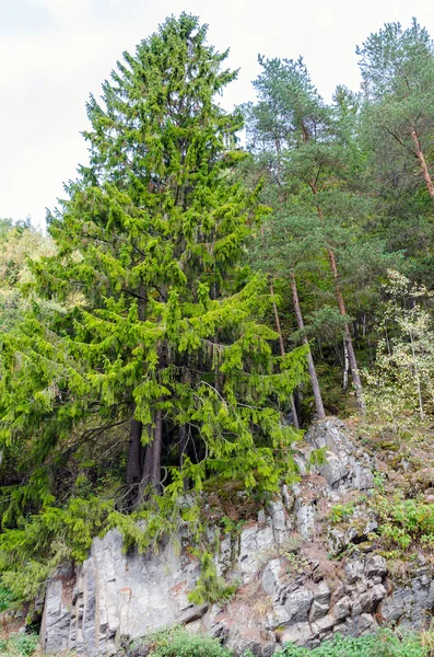 Uitzicht op de bergen. Noorwegen. — Stockfoto