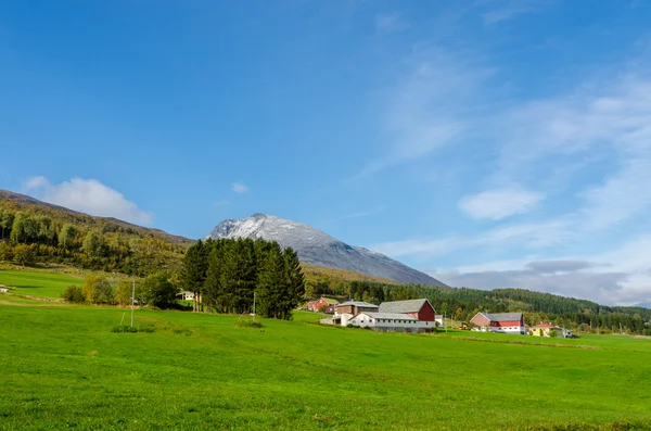 Bild des norwegischen Hochlandes — Stockfoto