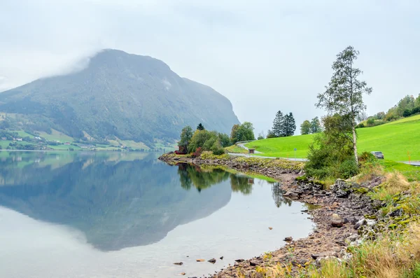 Obraz z fiordu Norwegii — Zdjęcie stockowe