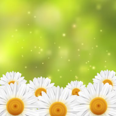 Bir alan üzerinde yeşil bir arka plan bulanık küçük beyaz çiçek