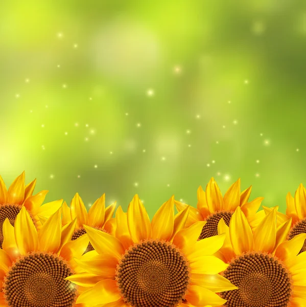 Un champ de tournesols avec un fond vert flou — Image vectorielle