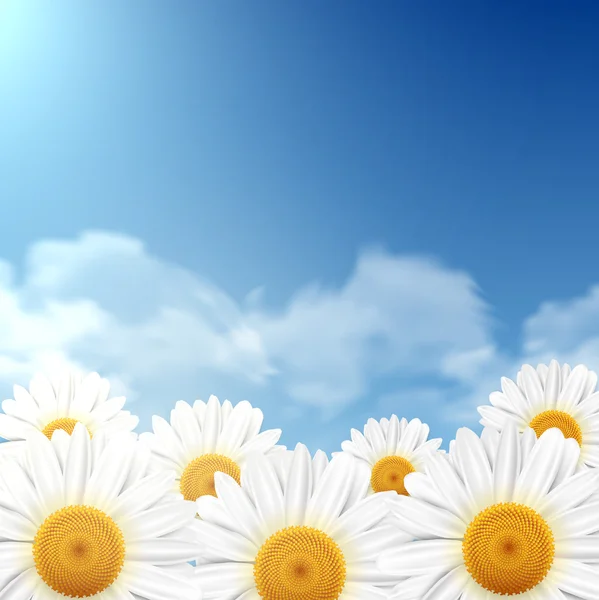 Gänseblümchen mit blauem Himmel als Hintergrund — Stockvektor