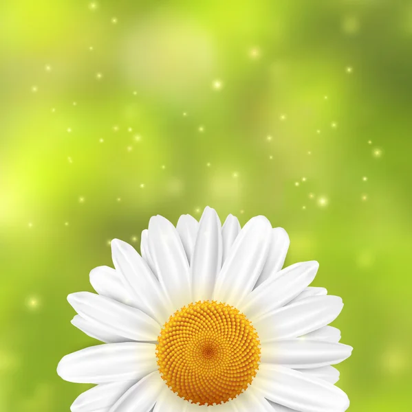 Gänseblümchen-Blume auf grünem, verschwommenem Hintergrund mit Funkeln — Stockvektor