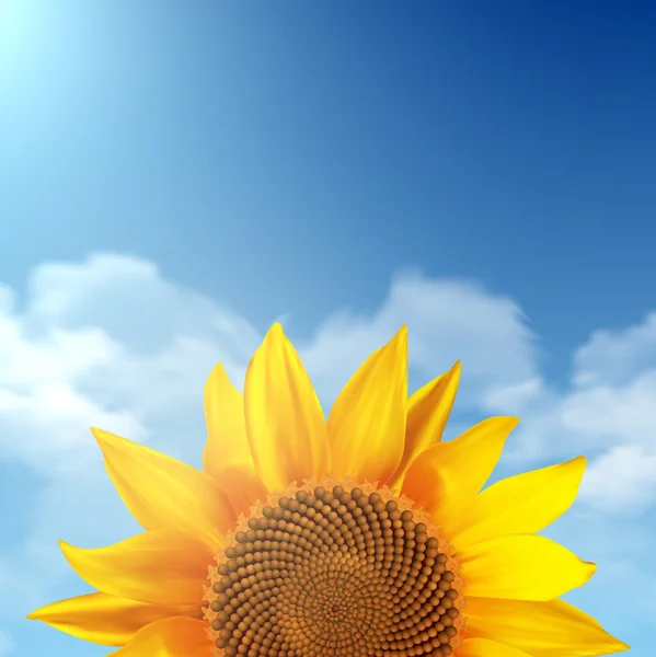 Girasole singolo con un cielo come sfondo — Vettoriale Stock