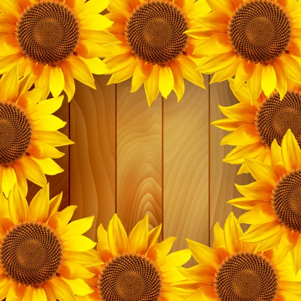 Sonnenblumenblüten im Kreis auf einem hölzernen Hintergrund angeordnet — Stockvektor