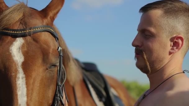 Hombre acariciando un caballo en el campo — Vídeos de Stock