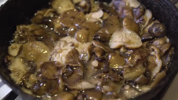 Honey mushrooms are fried in oil in a frying pan — Vídeo de stock