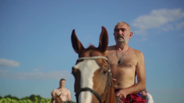 Ουκρανός Κοζάκος ιππασία ένα άλογο στο πεδίο φαίνεται μακριά — Αρχείο Βίντεο