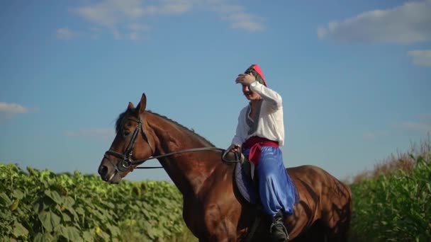 Cossaco ucraniano montando um cavalo no campo parece longe — Vídeo de Stock