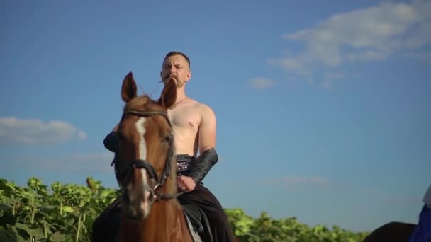 Cossaco ucraniano montando um cavalo no campo parece longe — Vídeo de Stock