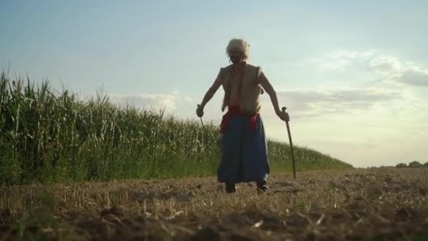 Los cosacos ucranianos luchan con sables en el campo — Vídeos de Stock