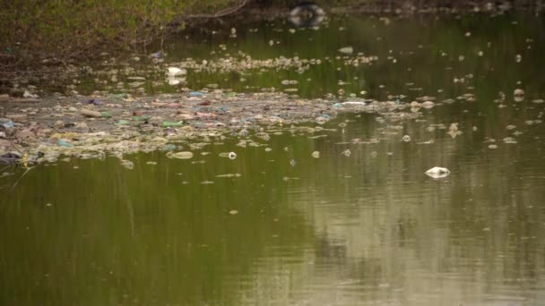 Пластиковые бутылки и мешки загрязнения в пруду. — стоковое видео
