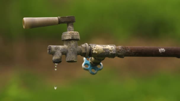 Gocciolamento dell'acqua dal vecchio rubinetto. — Video Stock