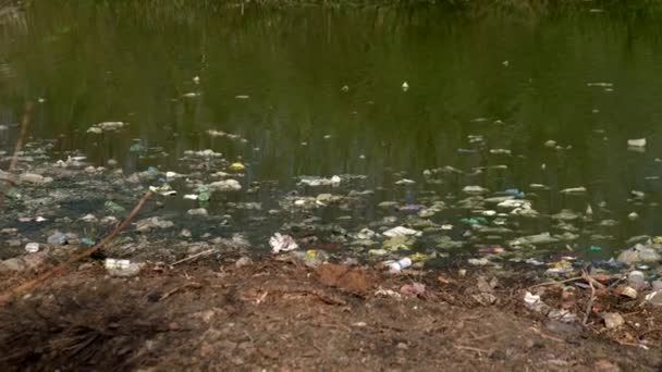 Contaminación de botellas y bolsas de plástico en el estanque. — Vídeo de stock