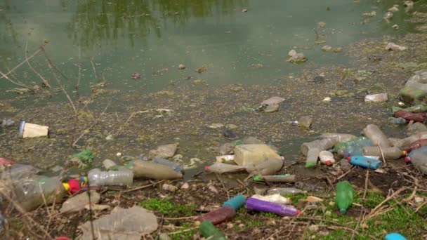 Botol plastik dan tas polusi di kolam. — Stok Video