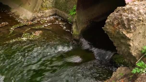 L'acqua fuoriesce dal tubo nella grondaia. — Video Stock