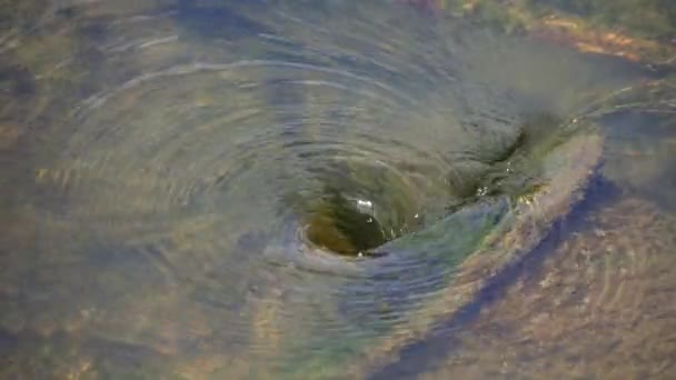 Uitzicht op natuurlijke whirlpool in water. — Stockvideo