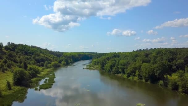 Naturwald und Fluss im Sommer aus der Luft — Stockvideo