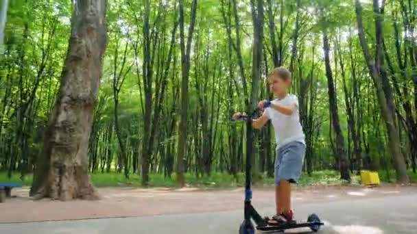 En pojke åker skoter i en stadspark — Stockvideo