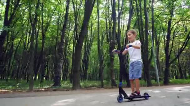 En pojke åker skoter i en stadspark — Stockvideo