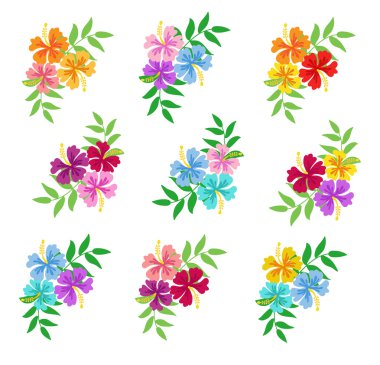 Hibiscus paket Hawaiian çiçek.