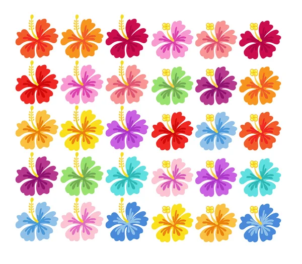 Ensemble d'hibiscus colorés . — Image vectorielle