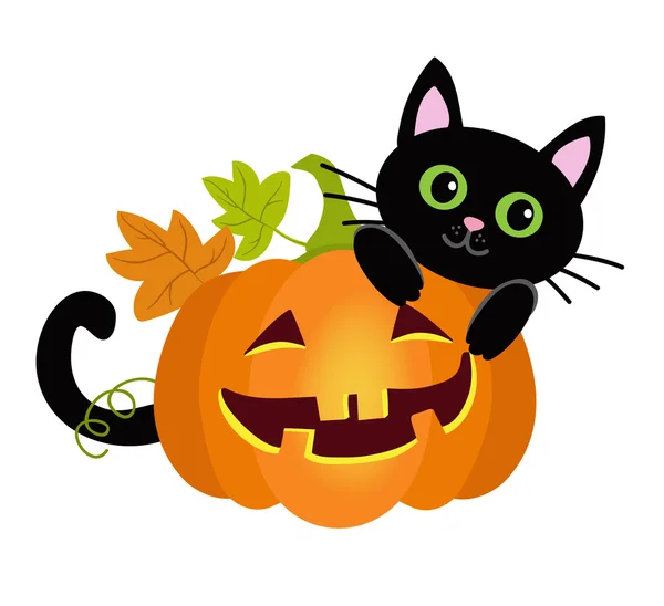 Halloween kitty cat och roliga pumpor. Vektor illustration. — Stock vektor