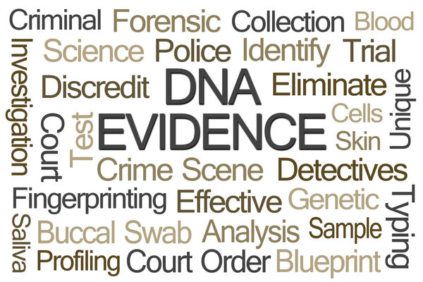 Слово эволюции ДНК
