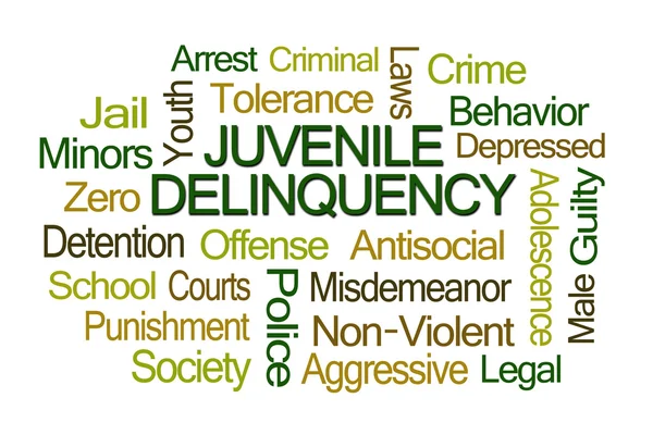 Delincuencia juvenil Word Cloud — Foto de Stock