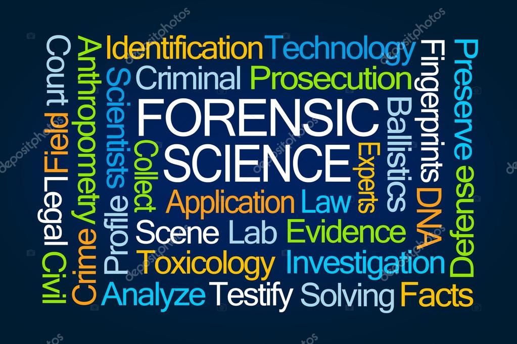 Forensic Science 1080P, 2K, 4K, 5K HD wallpapers free download | Wallpaper  Flare