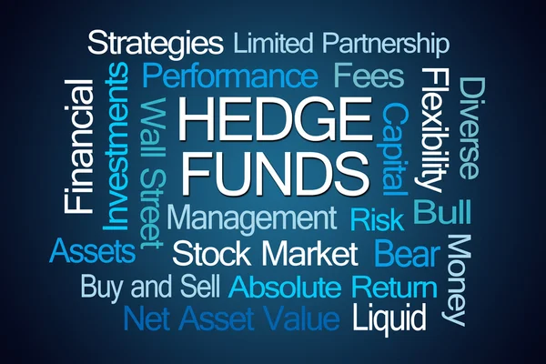 Wortwolke der Hedgefonds — Stockfoto