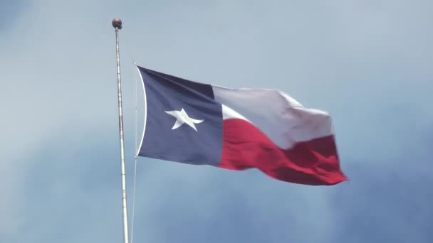 Bandera de Texas — Vídeos de Stock