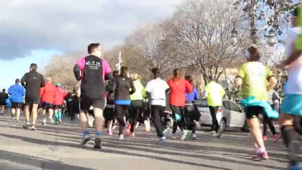 Los corredores compiten en una carrera de 5K — Vídeo de stock