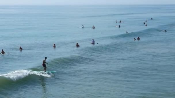 Surfistas en Jacksonville Beach, Florida, EE.UU. — Vídeos de Stock